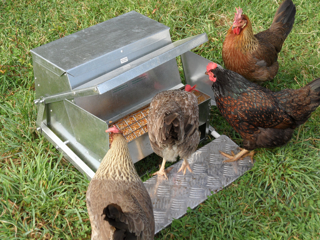 Grandpas Large Automatic Feeder