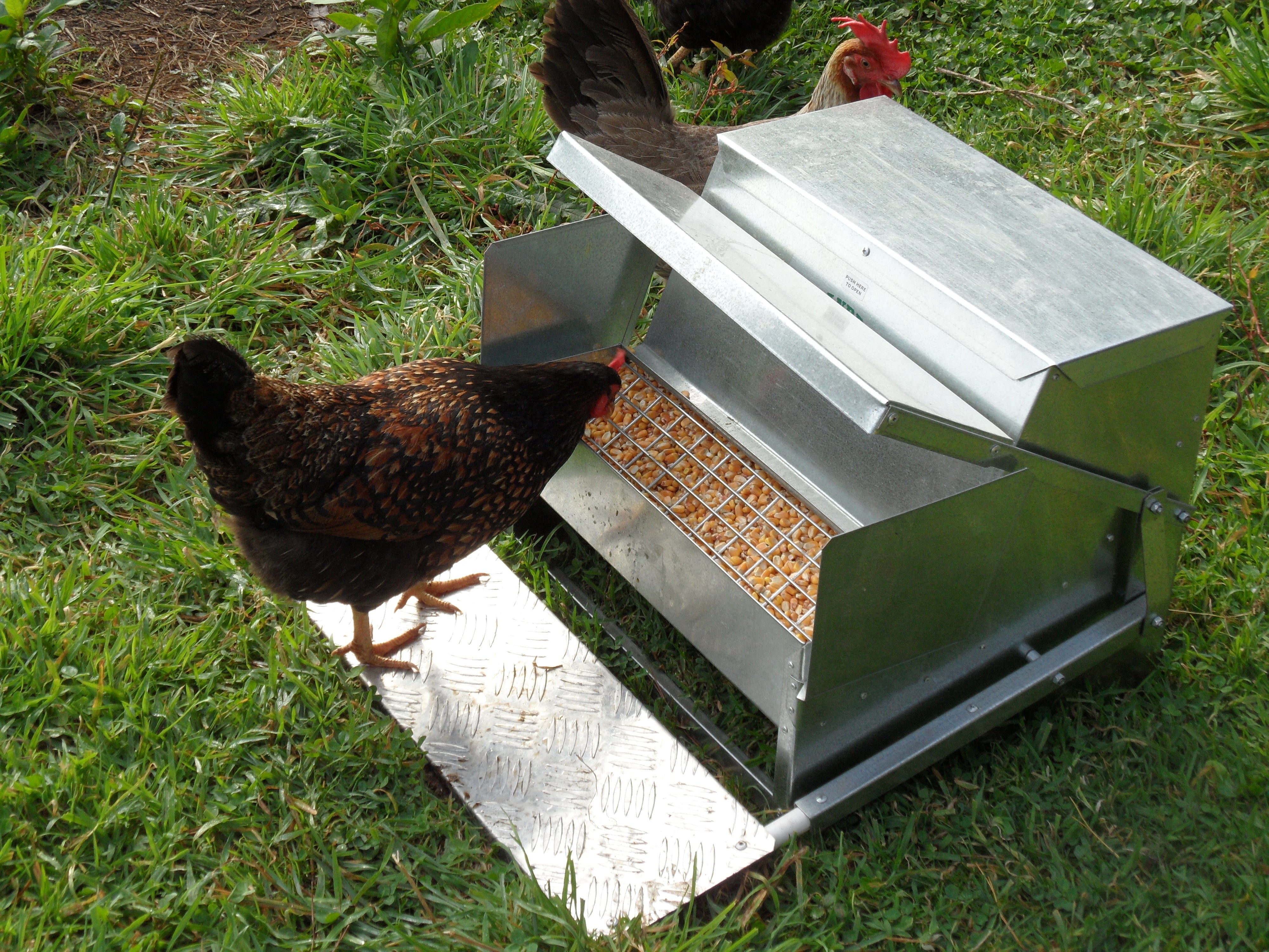 Grandpas Standard Automatic Feeder Grandpas Feeders